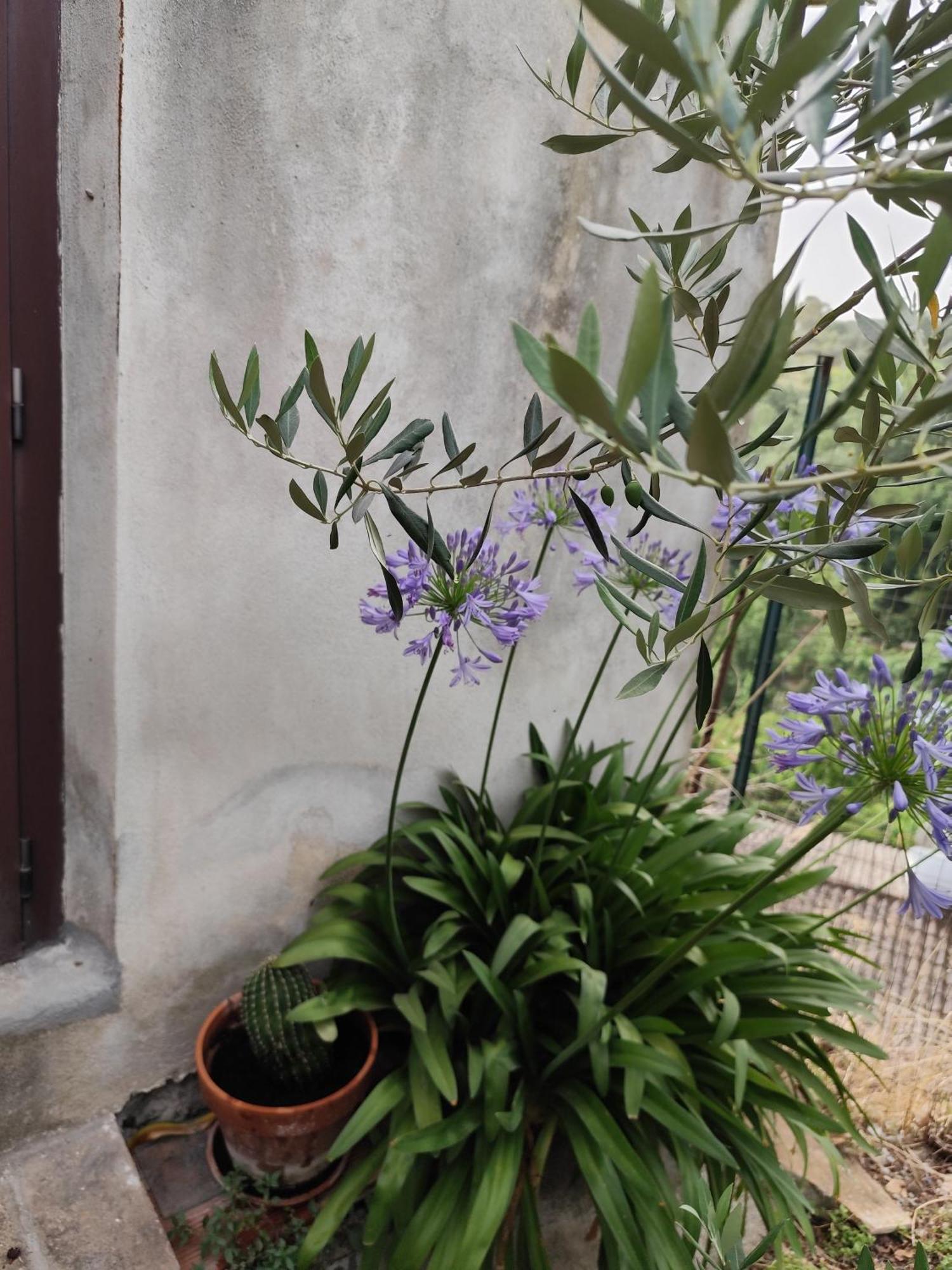Casa In Antico Borgo Medievale A Tarano Ri, Via Giacomo Leopardi, 15 Villa Esterno foto